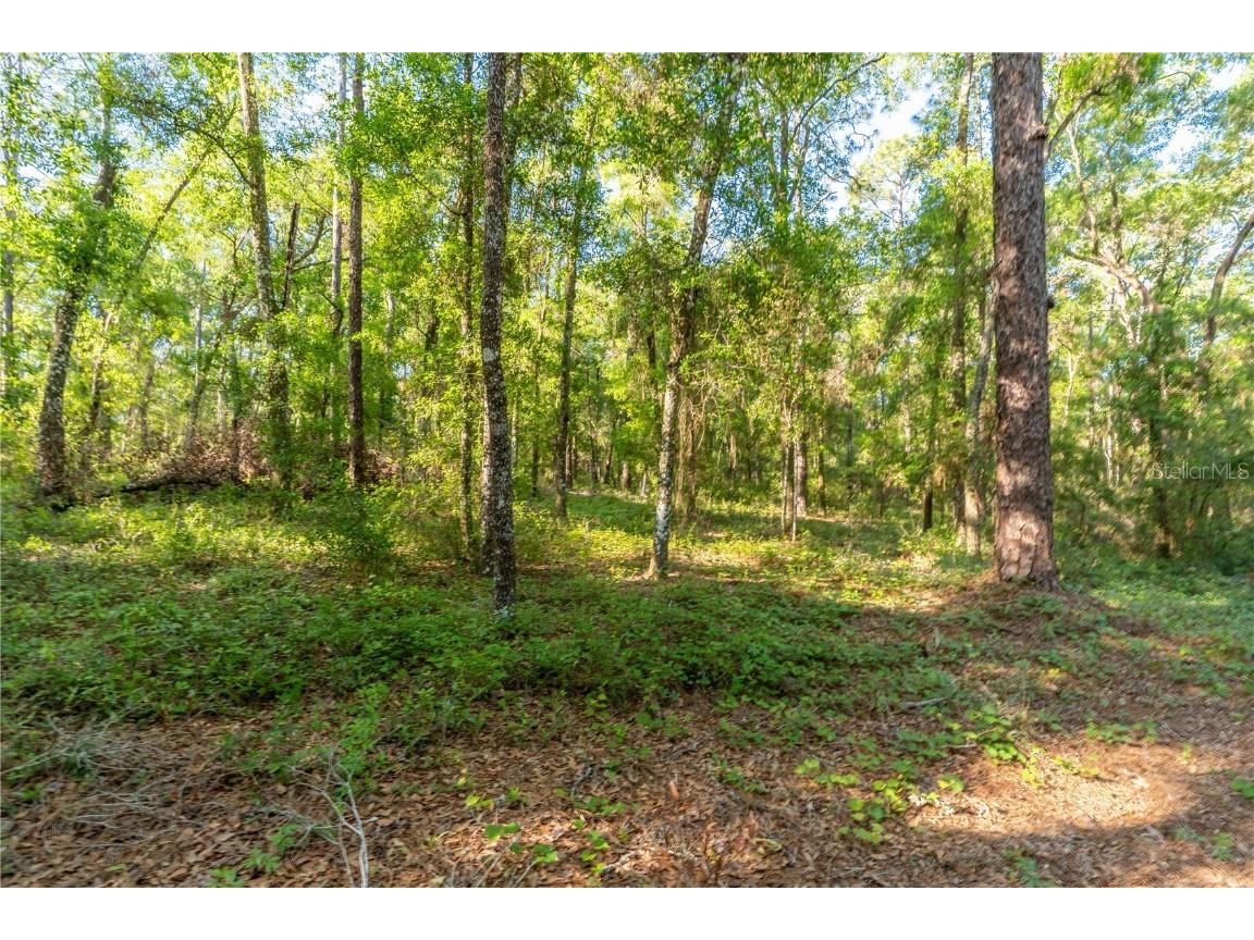 5282 S Robert Blake Avenue Inverness FL 34452 OM699938 image1