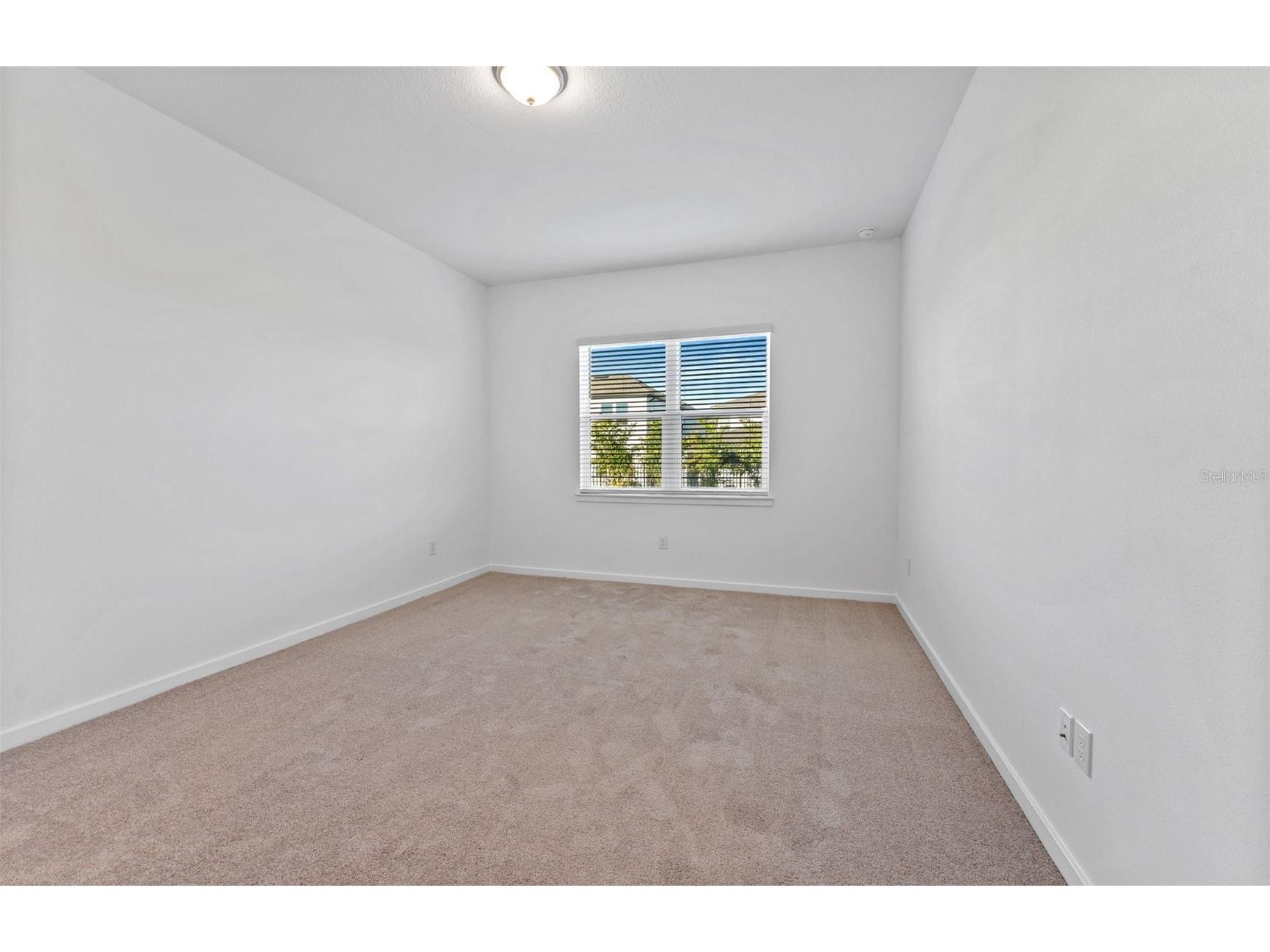 5282 Wolf Creek Drive Apollo Beach FL 33572 TB8433844 image7