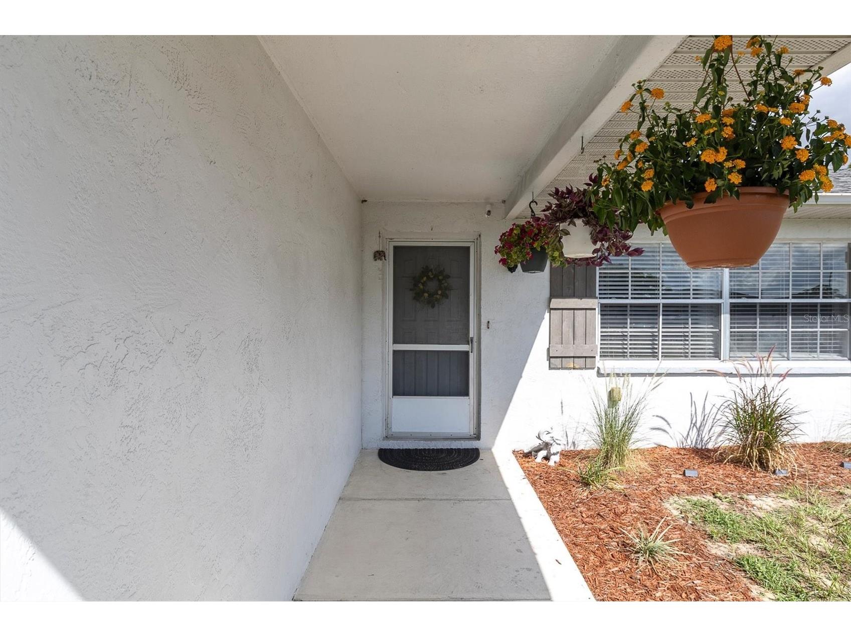 5283 Baldock Avenue Spring Hill FL 34608 W7887461 image4