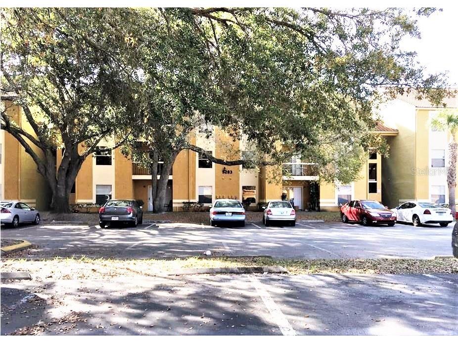 5283 Images Circle #206 Kissimmee FL 34746 S5060368 image1