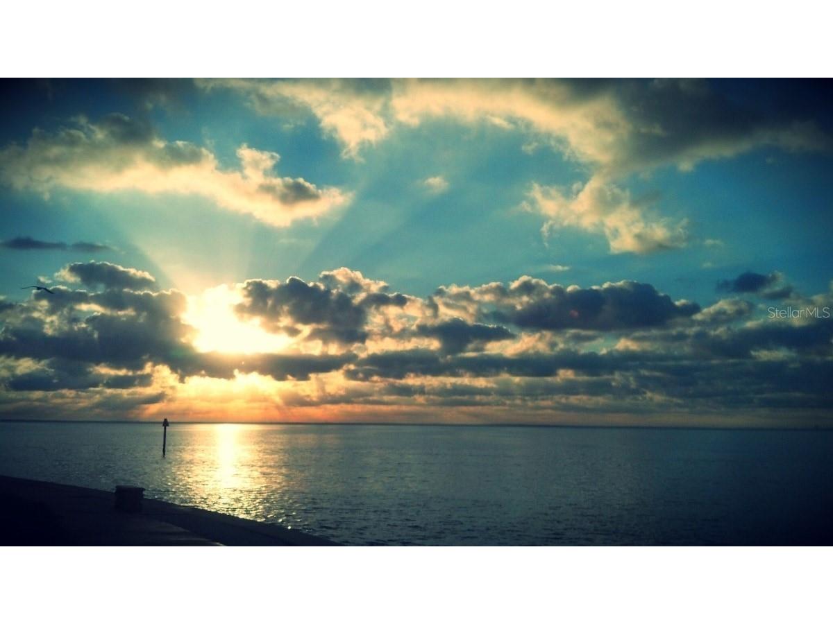 5285 Coquina Key Drive SE #C Saint Petersburg FL 33705 - TAMPA BAY TB8464135 image6