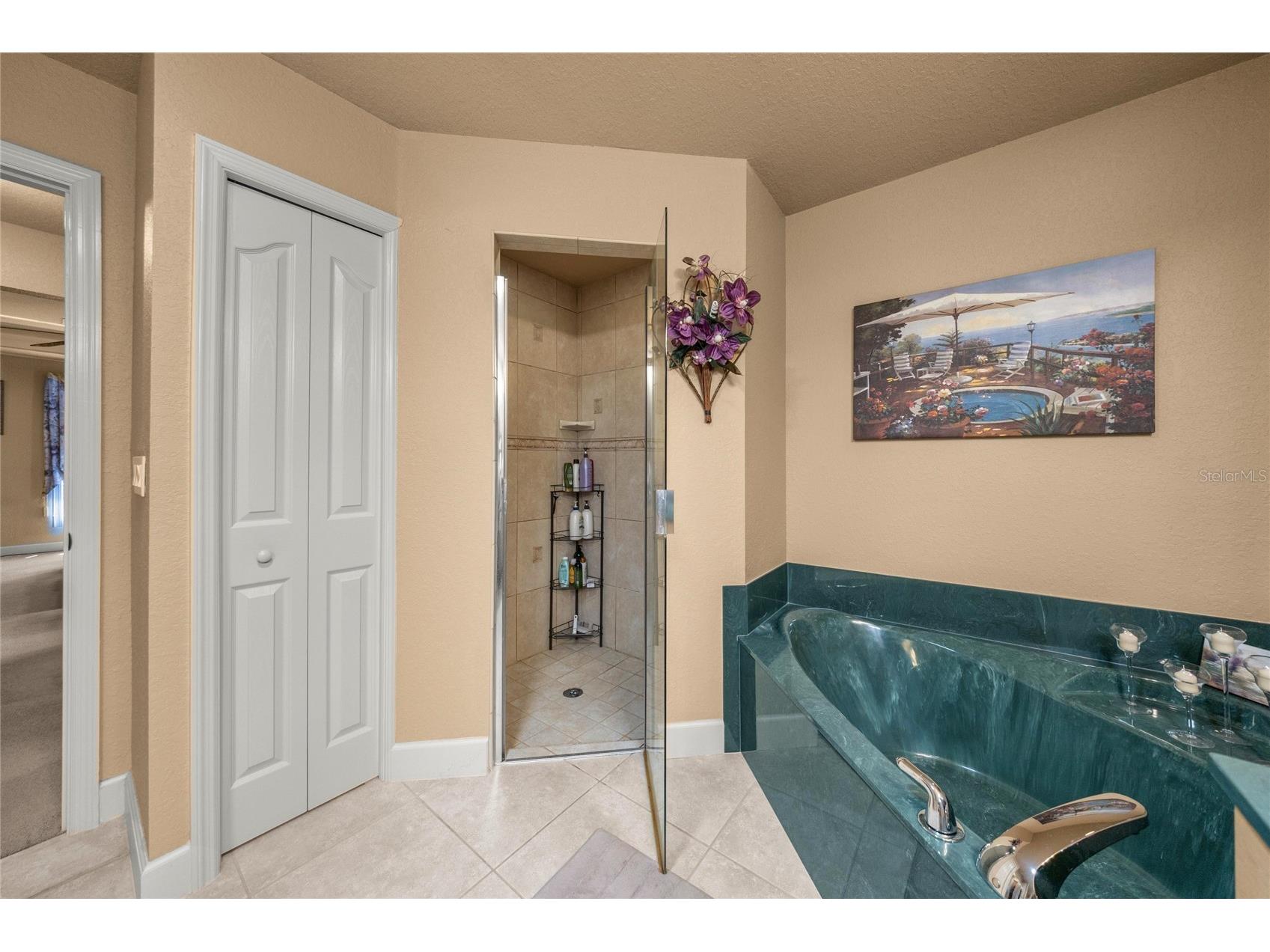 5285 SW 103rd Loop Ocala FL 34476 OM721892 image29