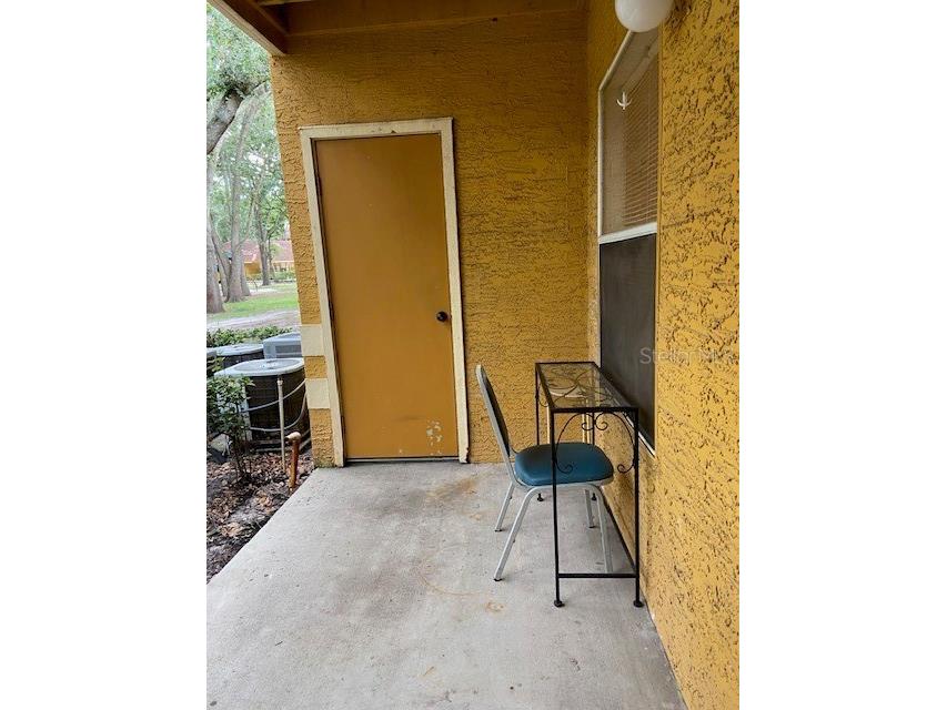 5287 Images Circle #104 Kissimmee FL 34746 S5141191 image12