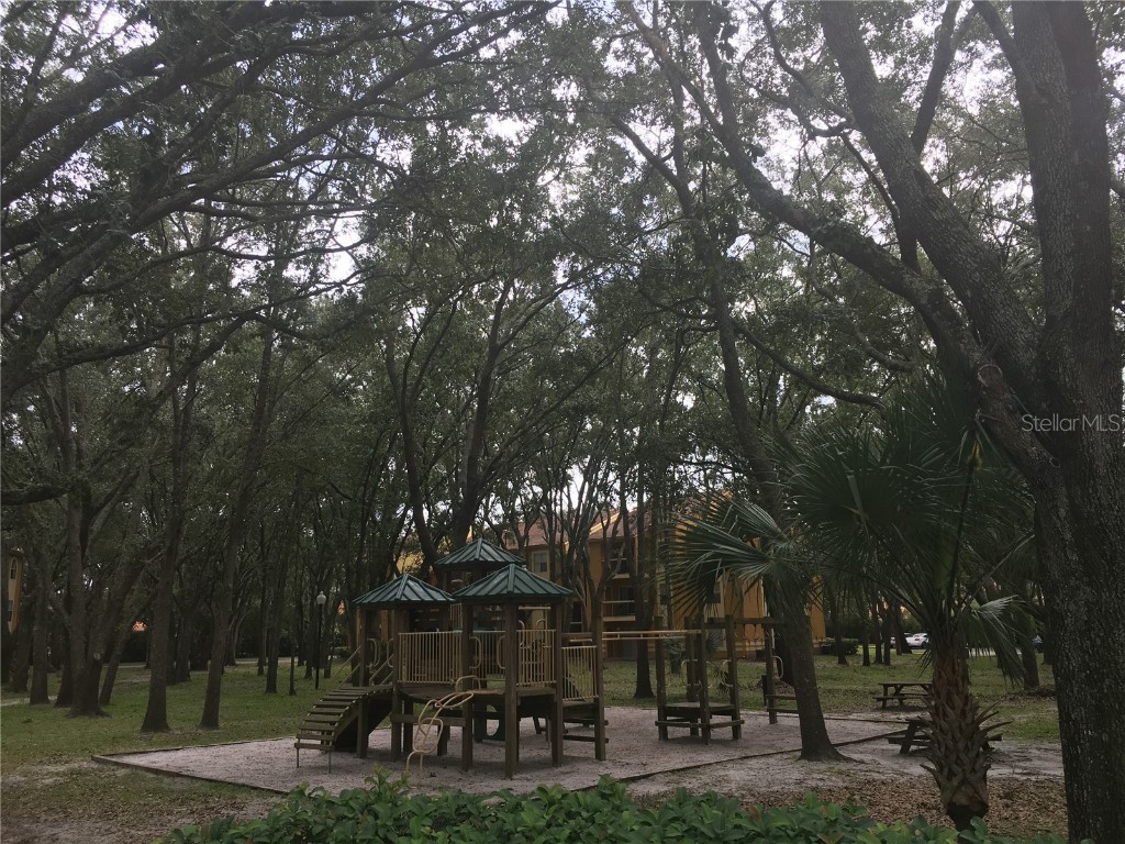 5287 Images Circle #104 Kissimmee FL 34746 S5141191 image19