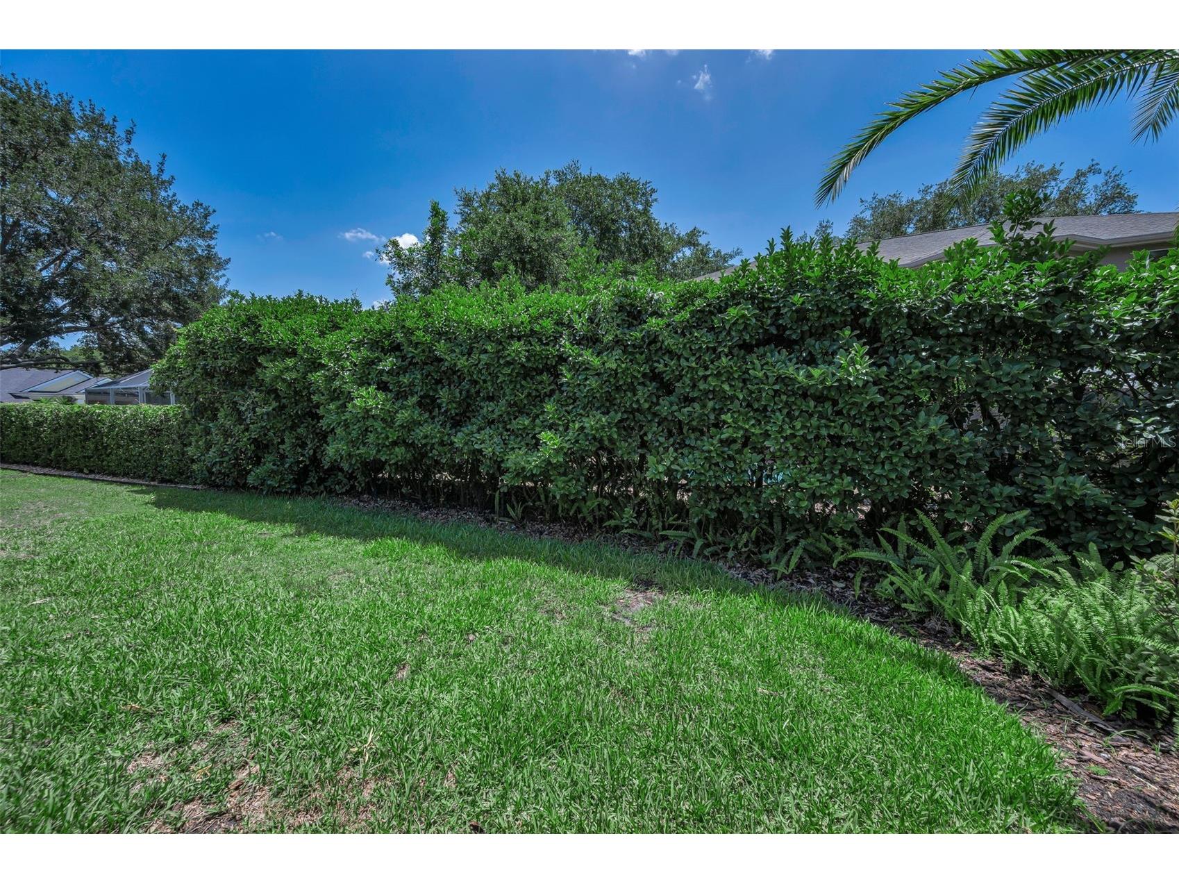 5287 Kernwood Court Palm Harbor FL 34685 - LAKE TARPON TB8514243 image61