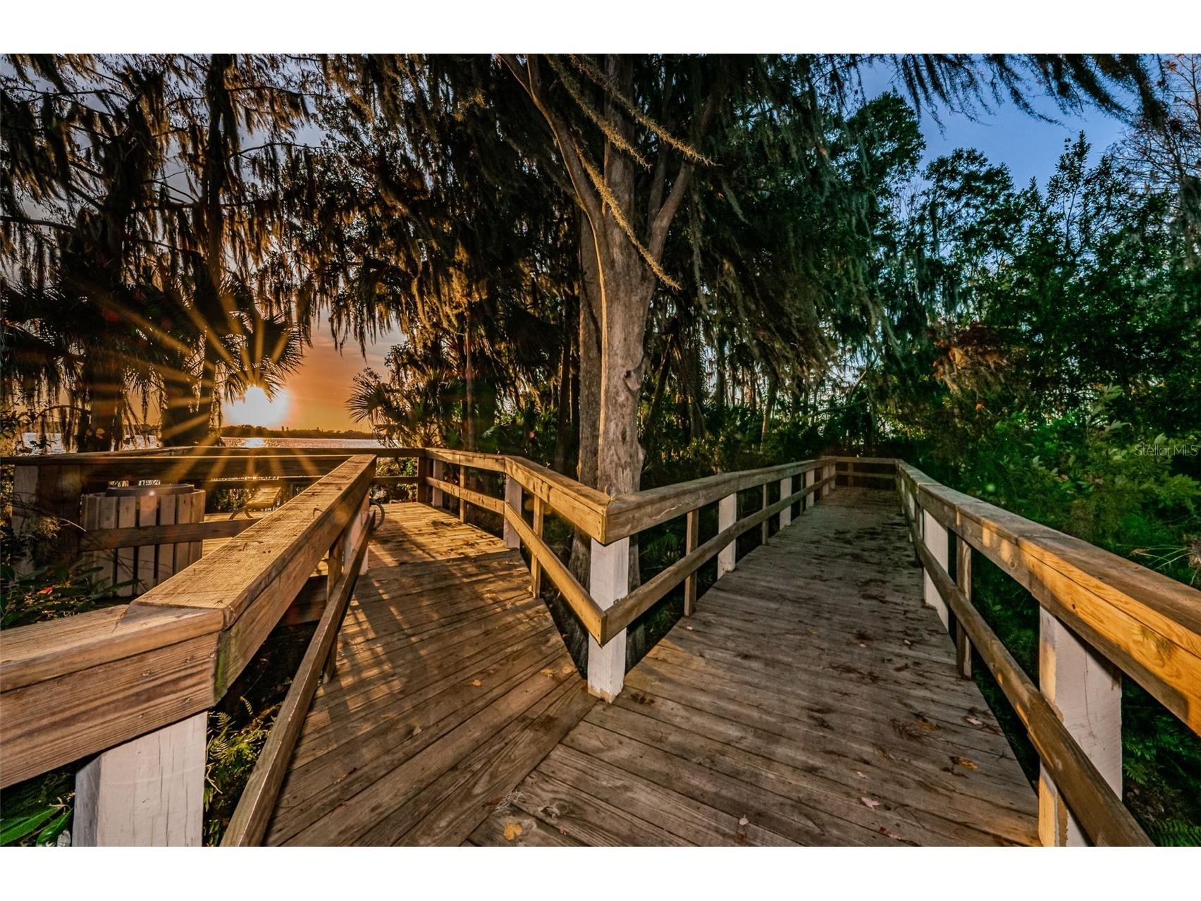5287 Kernwood Court Palm Harbor FL 34685 - LAKE TARPON TB8514243 image73