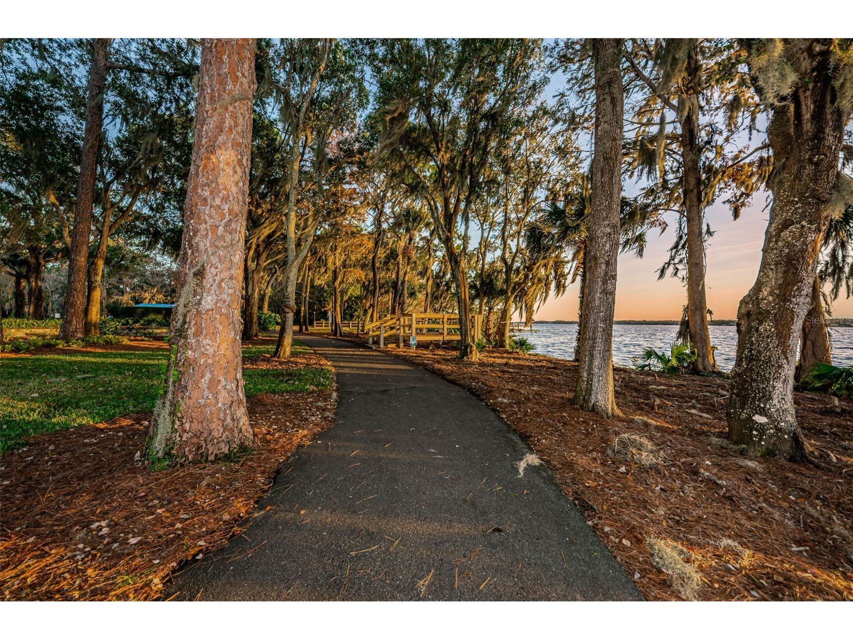 5287 Kernwood Court Palm Harbor FL 34685 - LAKE TARPON TB8514243 image76