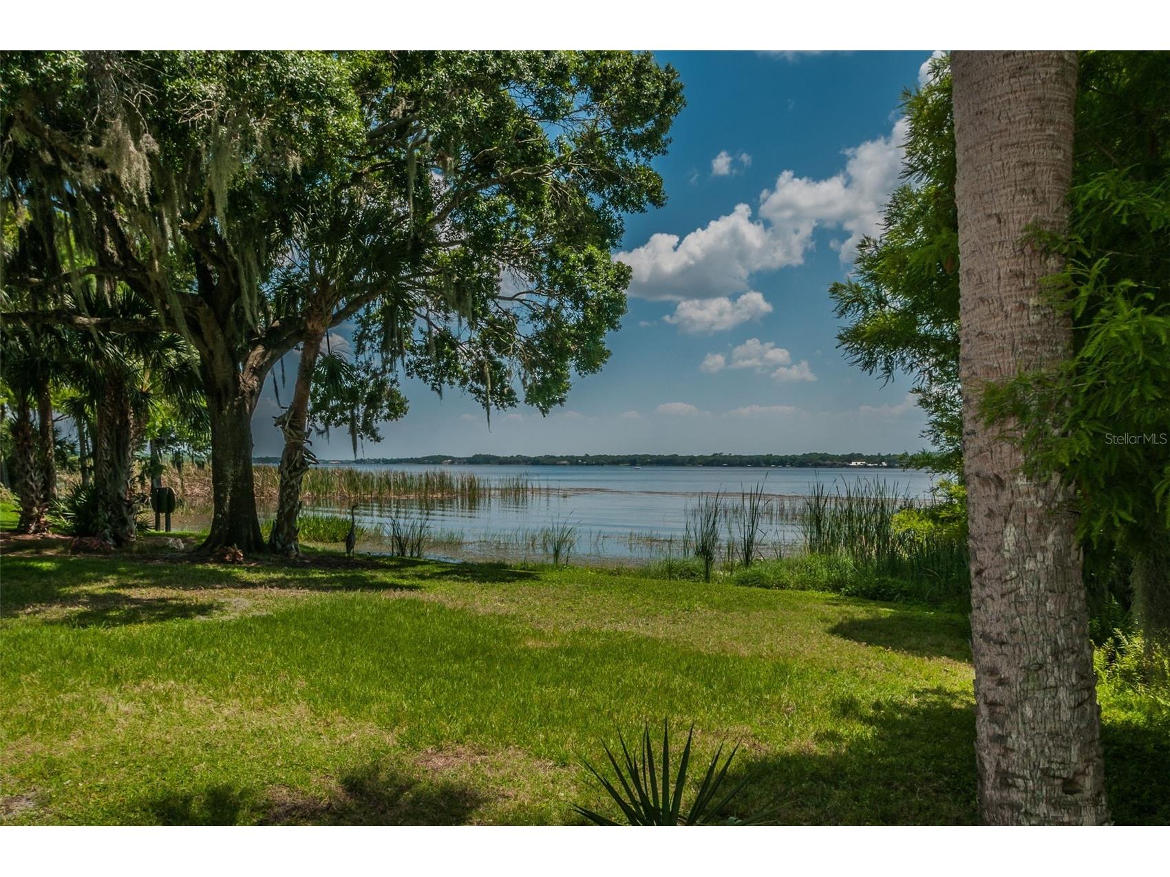 5287 Kernwood Court Palm Harbor FL 34685 - LAKE TARPON TB8514243 image79
