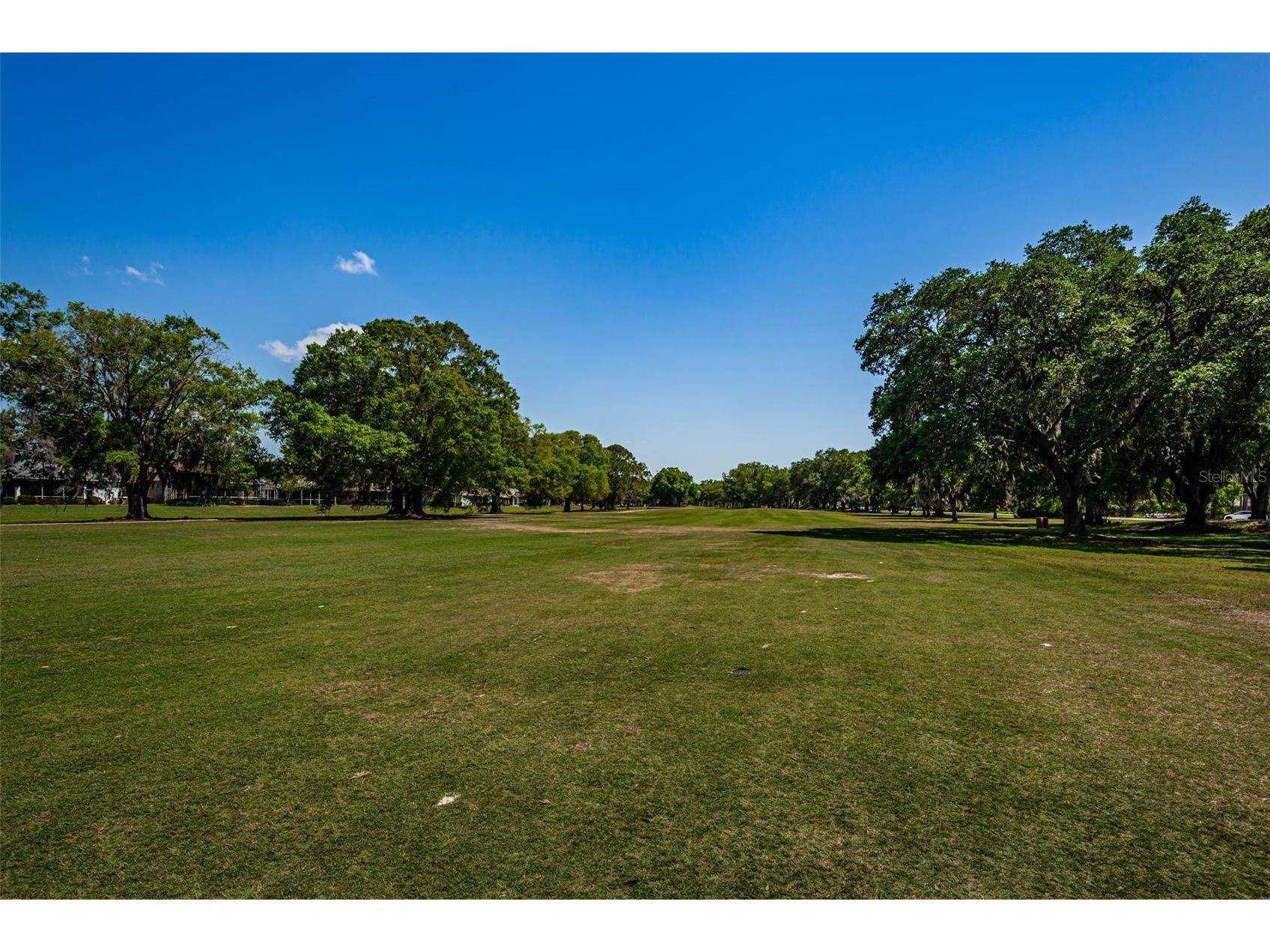 5287 Kernwood Court Palm Harbor FL 34685 - LAKE TARPON TB8514243 image80