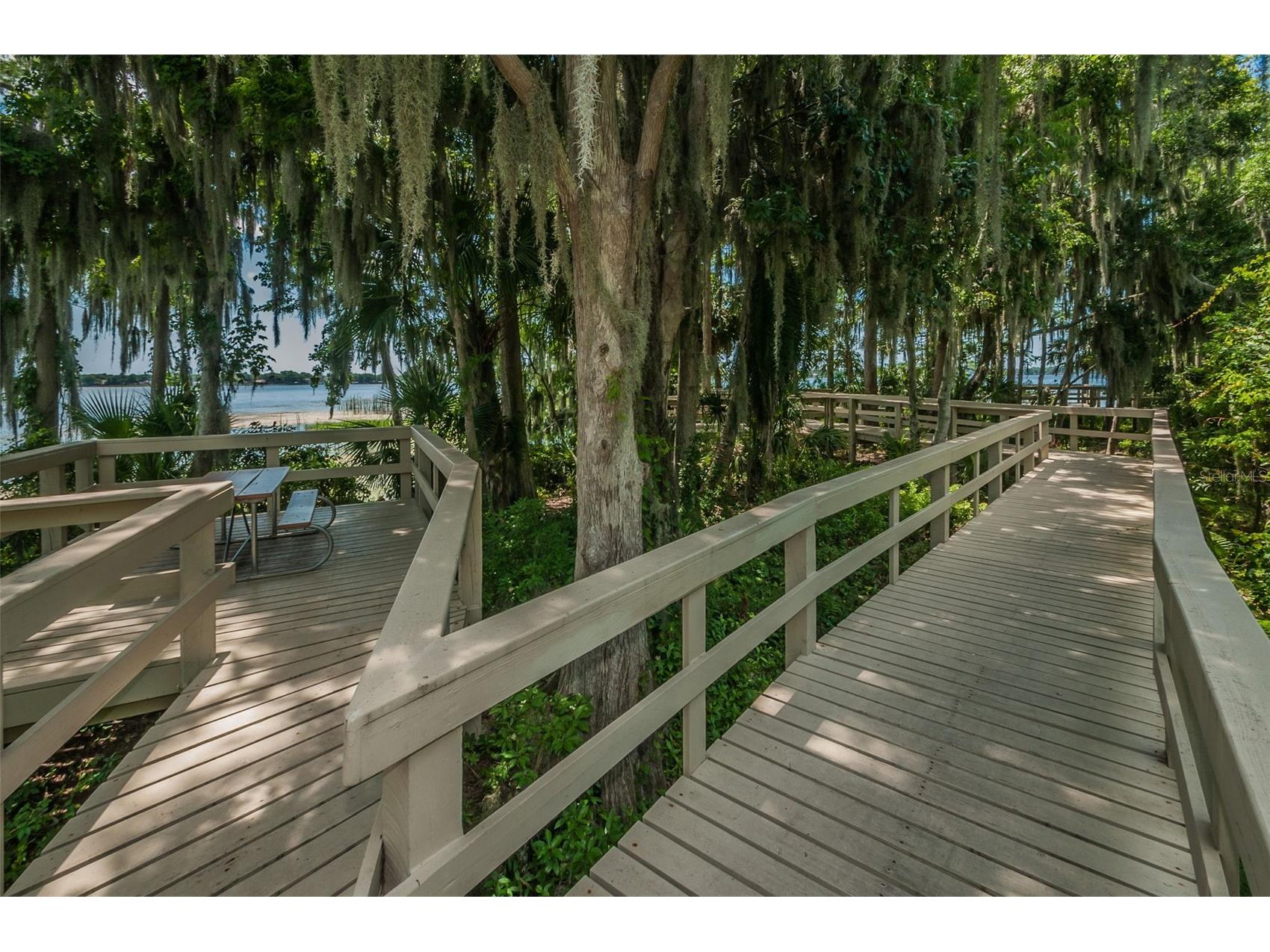 5287 Kernwood Court Palm Harbor FL 34685 - LAKE TARPON TB8514243 image81