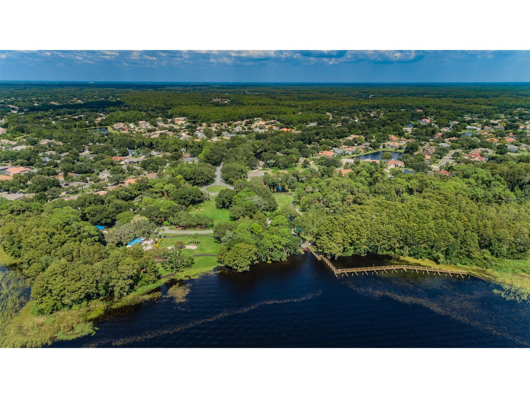 5287 Kernwood Court Palm Harbor FL 34685 - LAKE TARPON TB8514243 image85