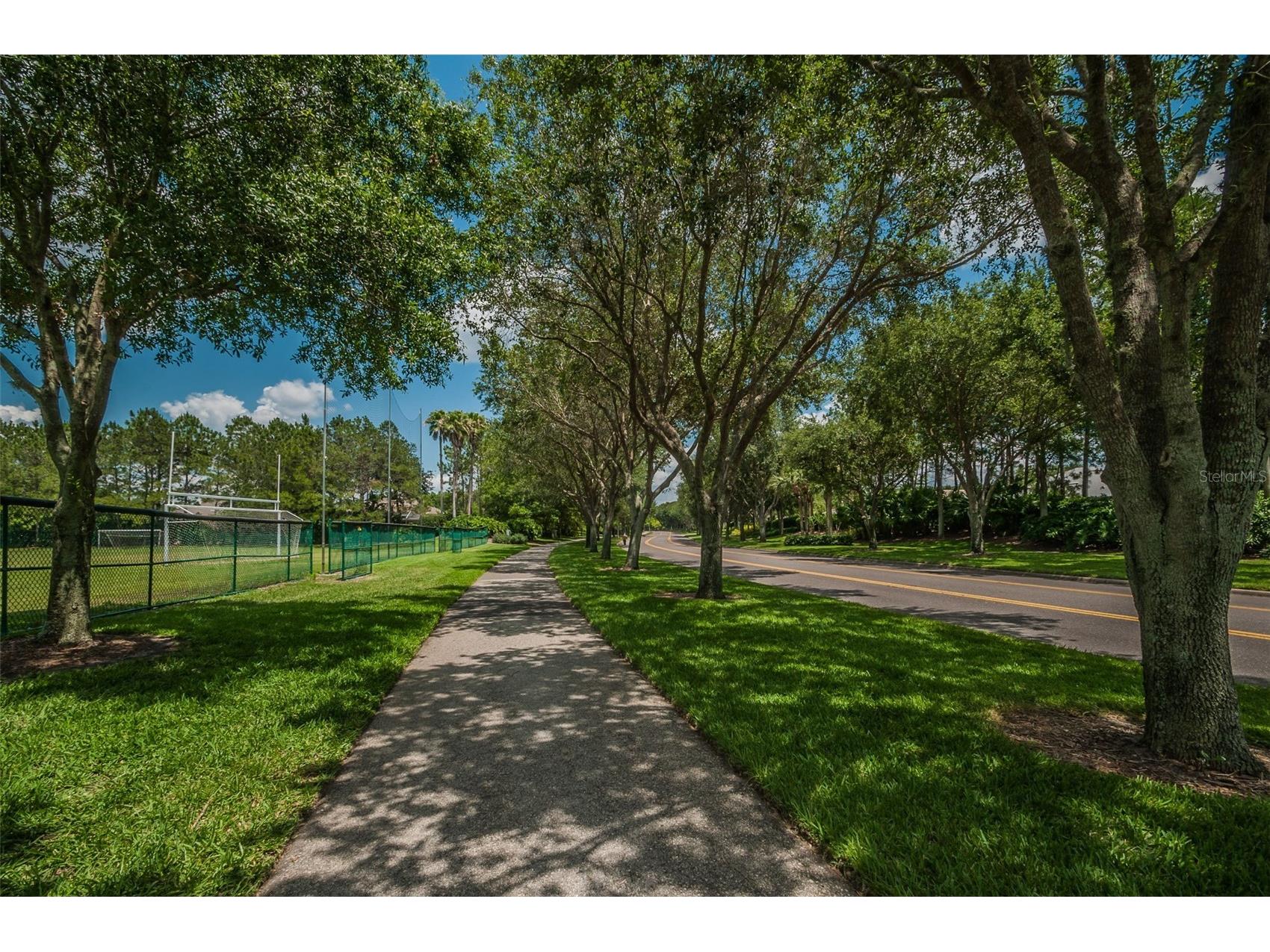 5287 Kernwood Court Palm Harbor FL 34685 - LAKE TARPON TB8514243 image89
