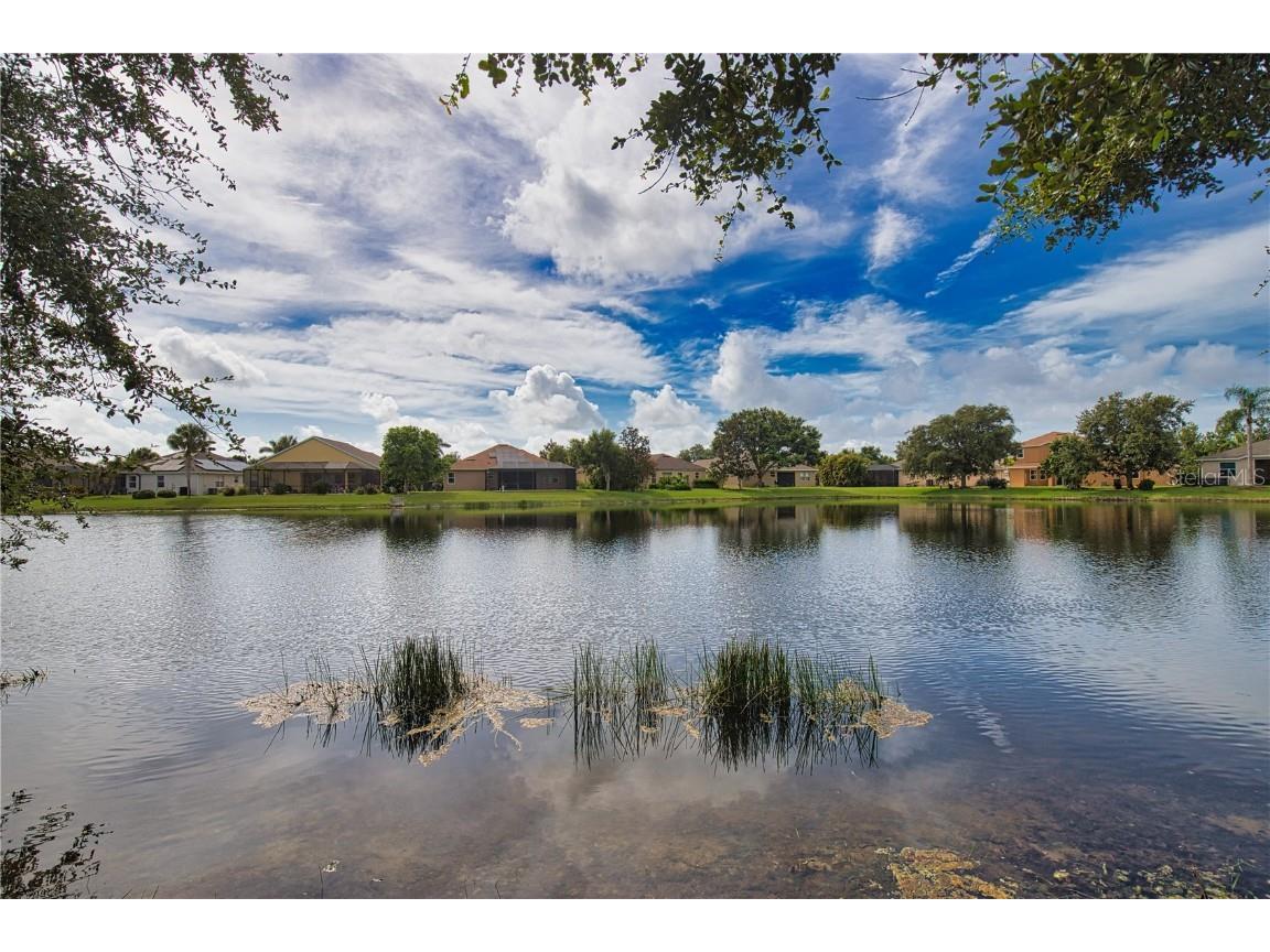 5288 Layton Drive Venice FL 34293 N6139775 image61