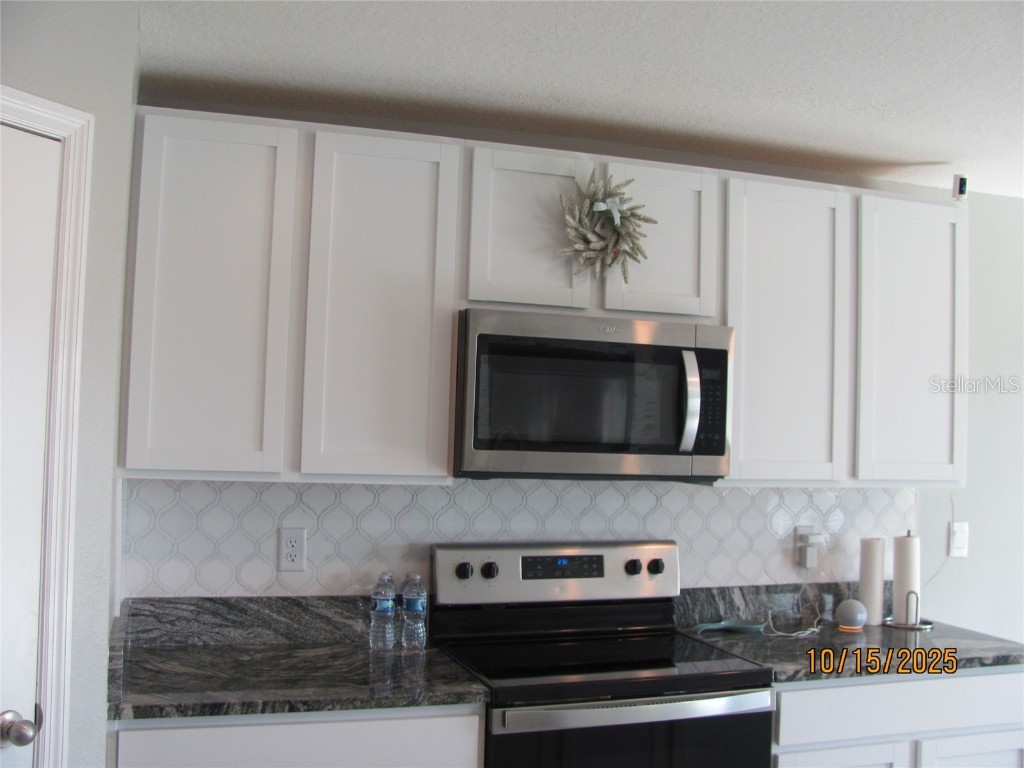 5289 Fiddle Fig Avenue Wimauma FL 33598 TB8438447 image11