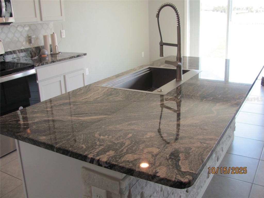 5289 Fiddle Fig Avenue Wimauma FL 33598 TB8438447 image12