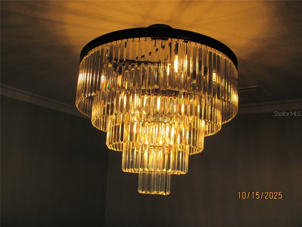 5289 Fiddle Fig Avenue Wimauma FL 33598 TB8438447 image19