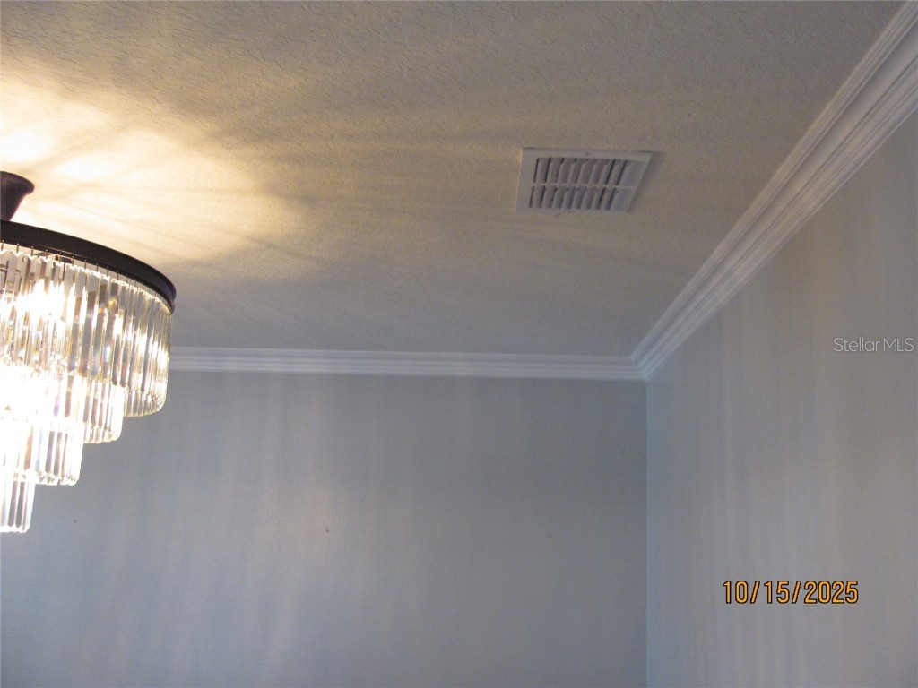 5289 Fiddle Fig Avenue Wimauma FL 33598 TB8438447 image20