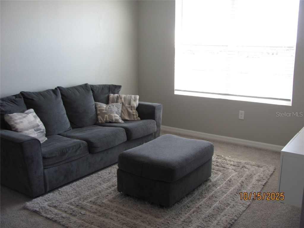 5289 Fiddle Fig Avenue Wimauma FL 33598 TB8438447 image23