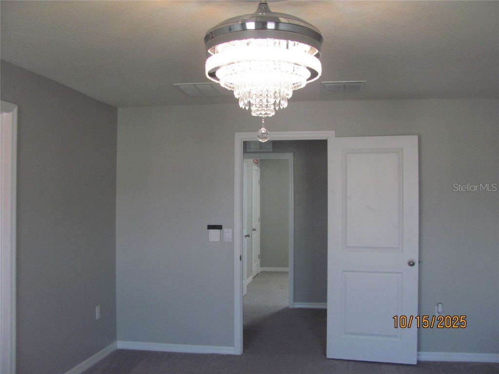 5289 Fiddle Fig Avenue Wimauma FL 33598 TB8438447 image24