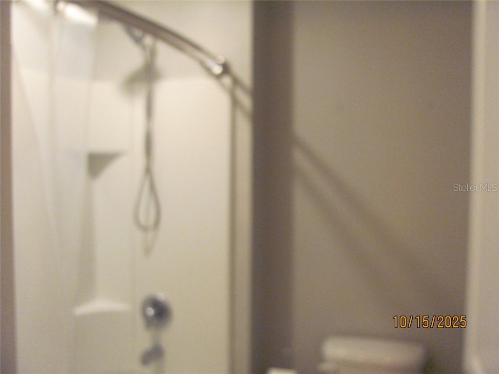 5289 Fiddle Fig Avenue Wimauma FL 33598 TB8438447 image27