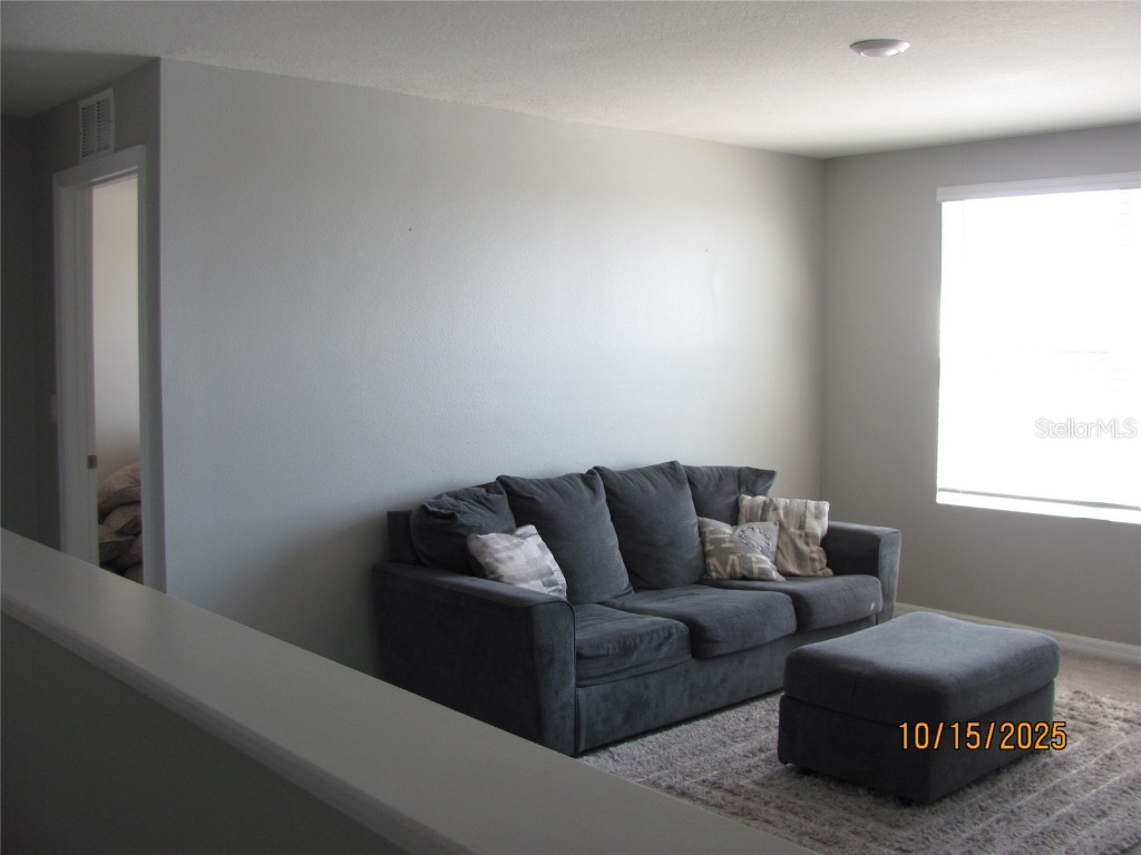 5289 Fiddle Fig Avenue Wimauma FL 33598 TB8438447 image31