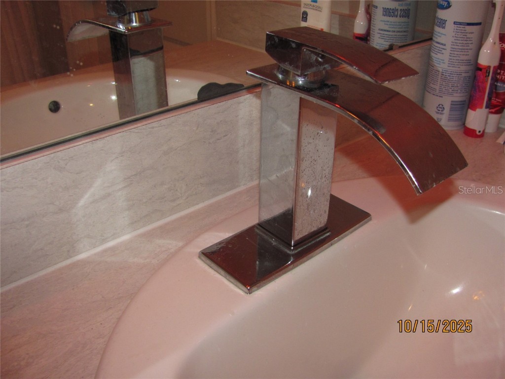 5289 Fiddle Fig Avenue Wimauma FL 33598 TB8438447 image33