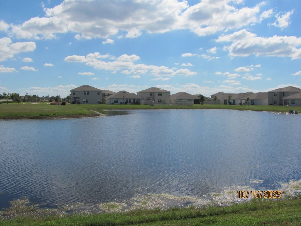 5289 Fiddle Fig Avenue Wimauma FL 33598 TB8438447 image35