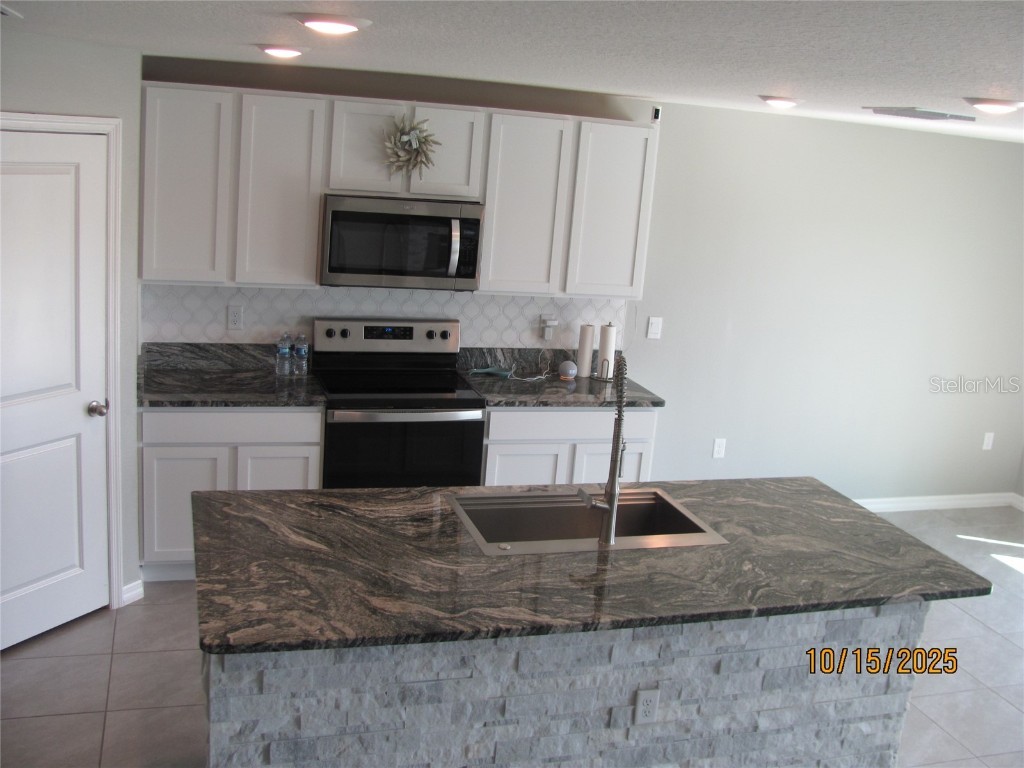 5289 Fiddle Fig Avenue Wimauma FL 33598 TB8438447 image8