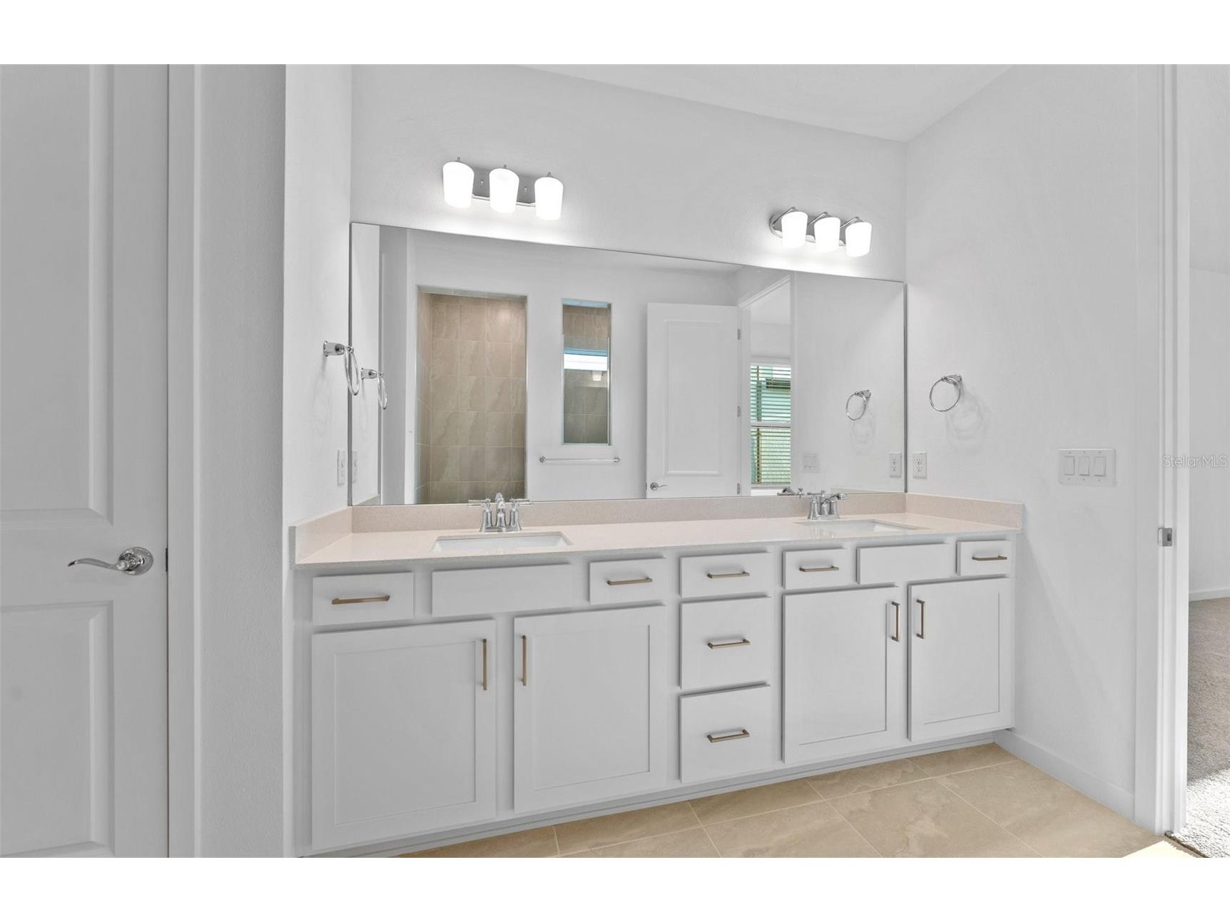 5289 Wolf Creek Drive Apollo Beach FL 33572 TB8403483 image11