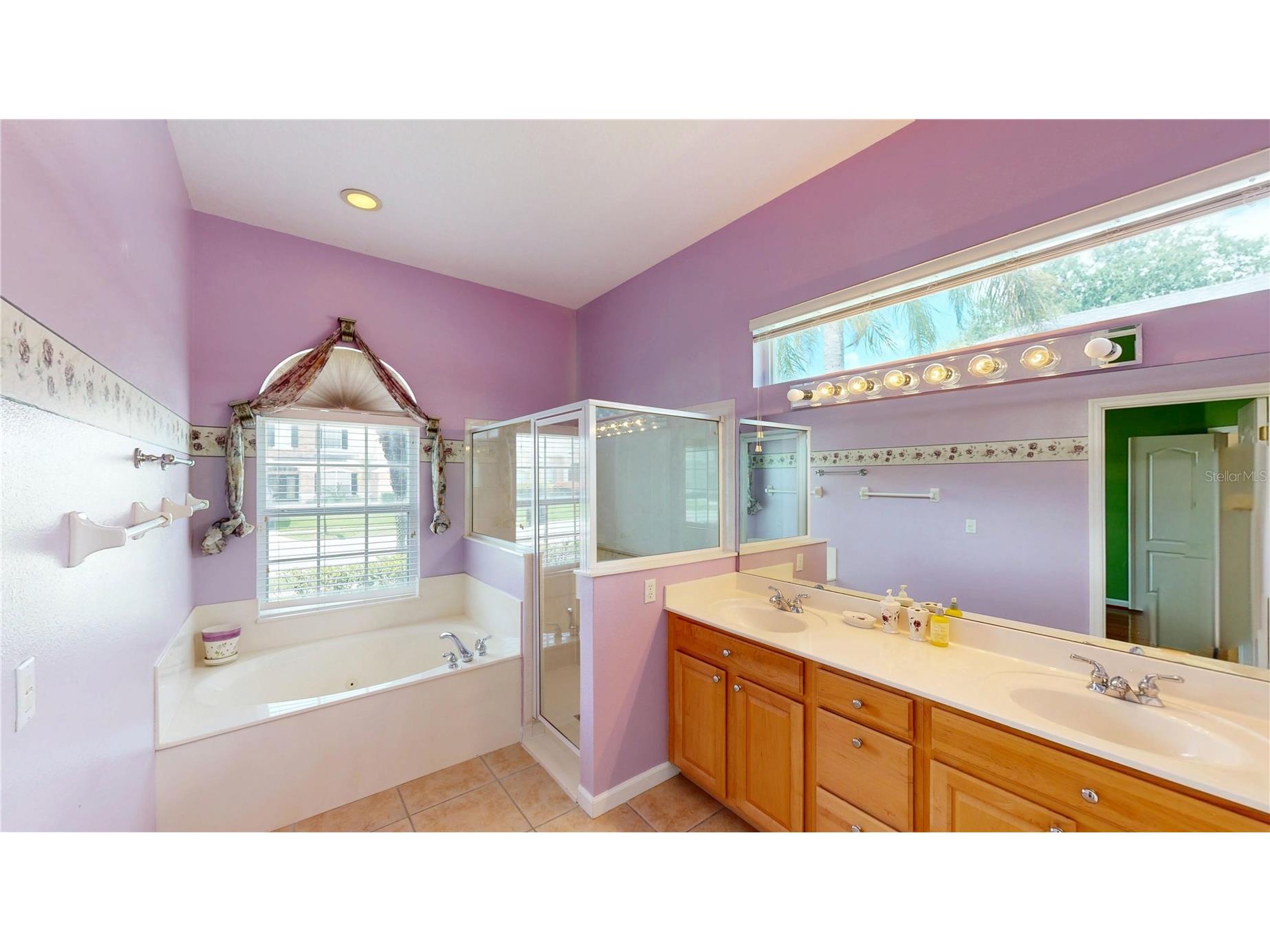 529 Belhaven Falls Drive Ocoee FL 34761 O6410324 image18