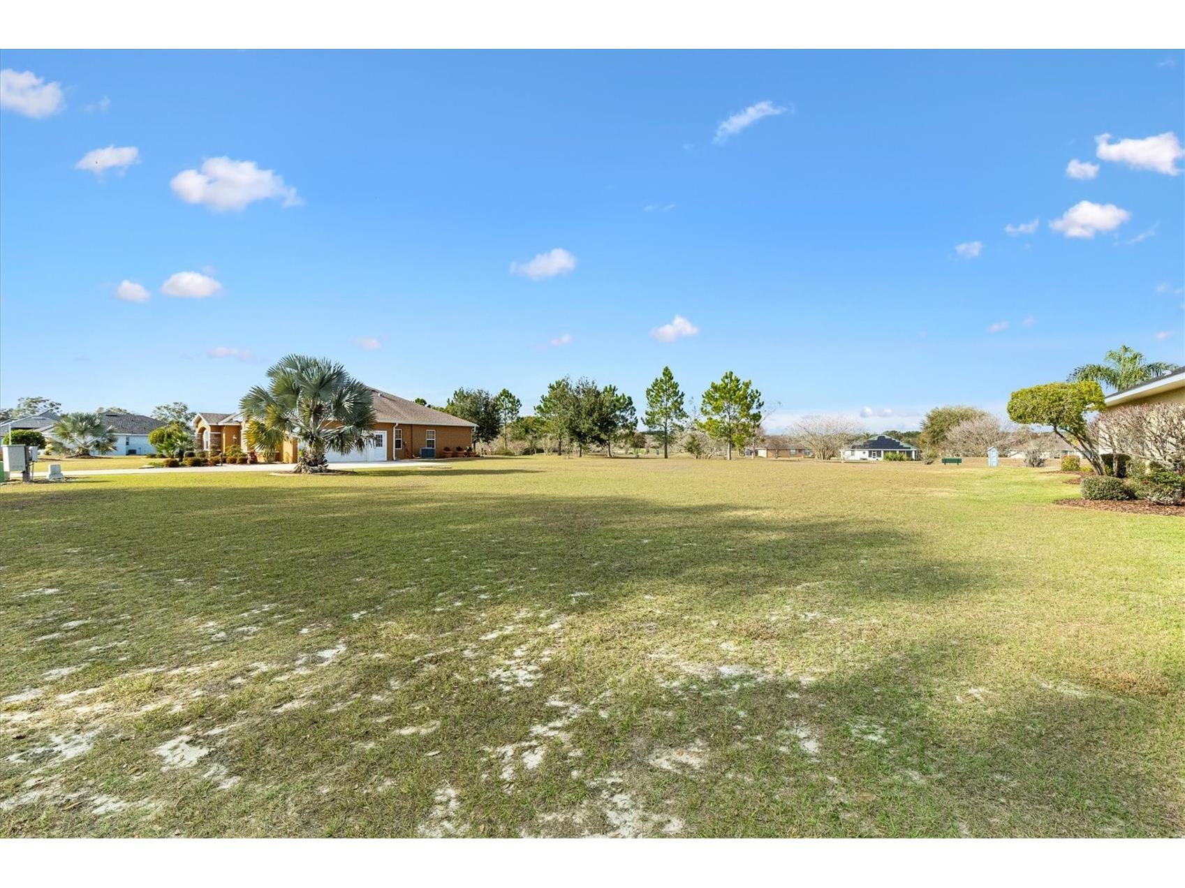 529 Dowling Circle Lady Lake FL 32159 G5106560 image2