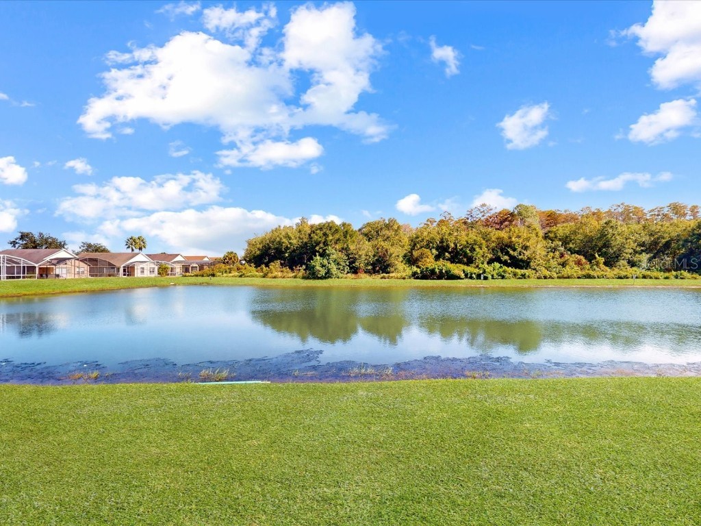 529 Eagle Pointe N Kissimmee FL 34746 S5138159 image41