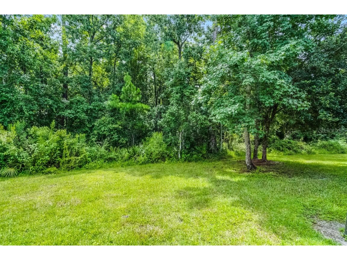 529 Evening Sky Drive Oviedo FL 32765 O6321472 image7