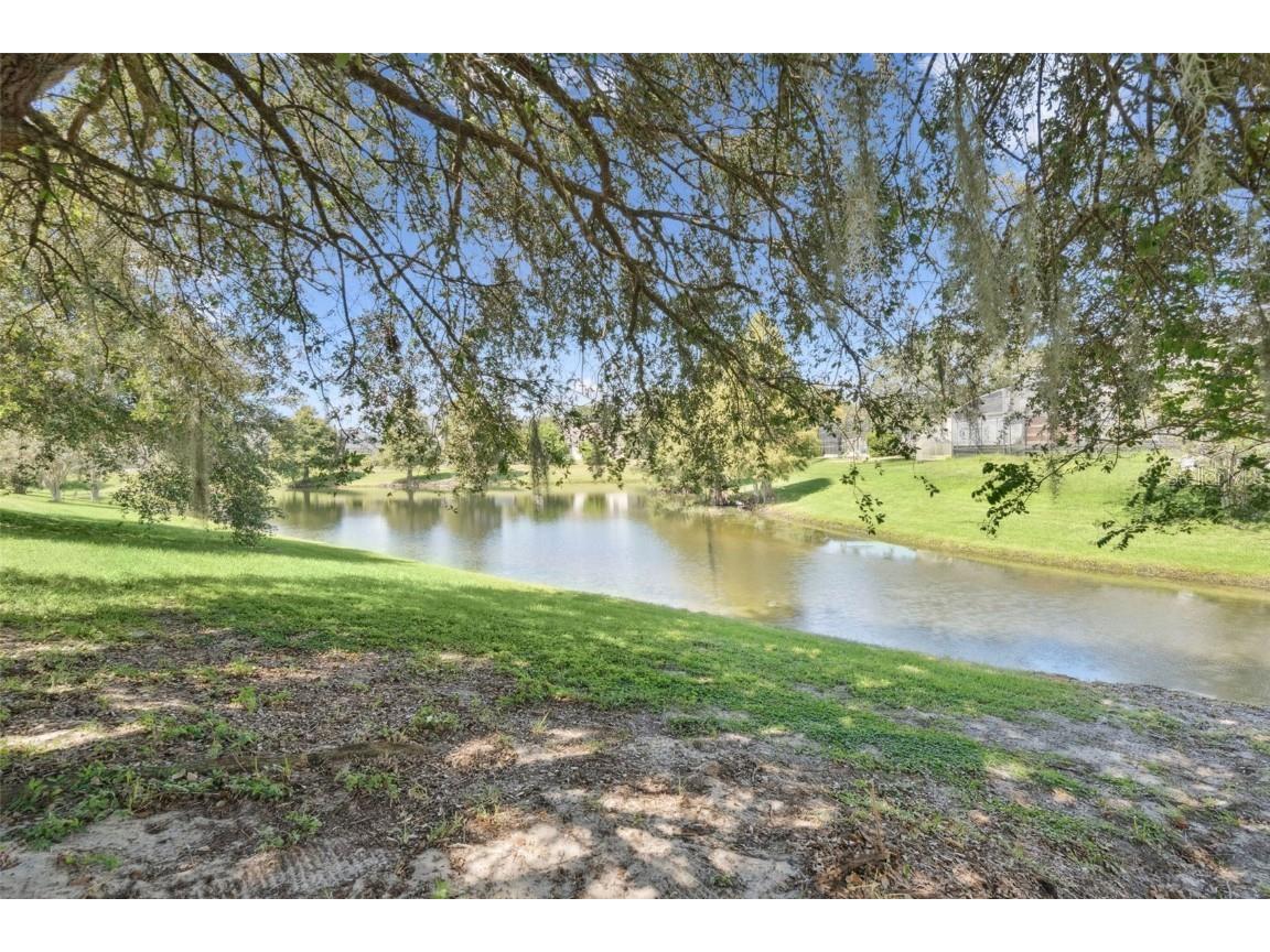 529 Johns Landing Way Oakland FL 34787 - JOHNS LAKE O6344952 image38