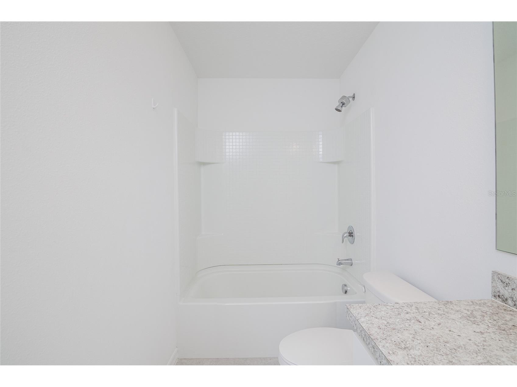529 Madison Drive Davenport FL 33837 O6410082 image46