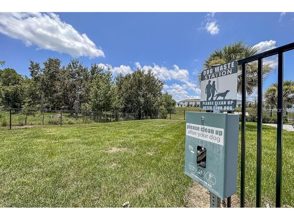 529 Madison Drive Davenport FL 33837 O6410082 image49