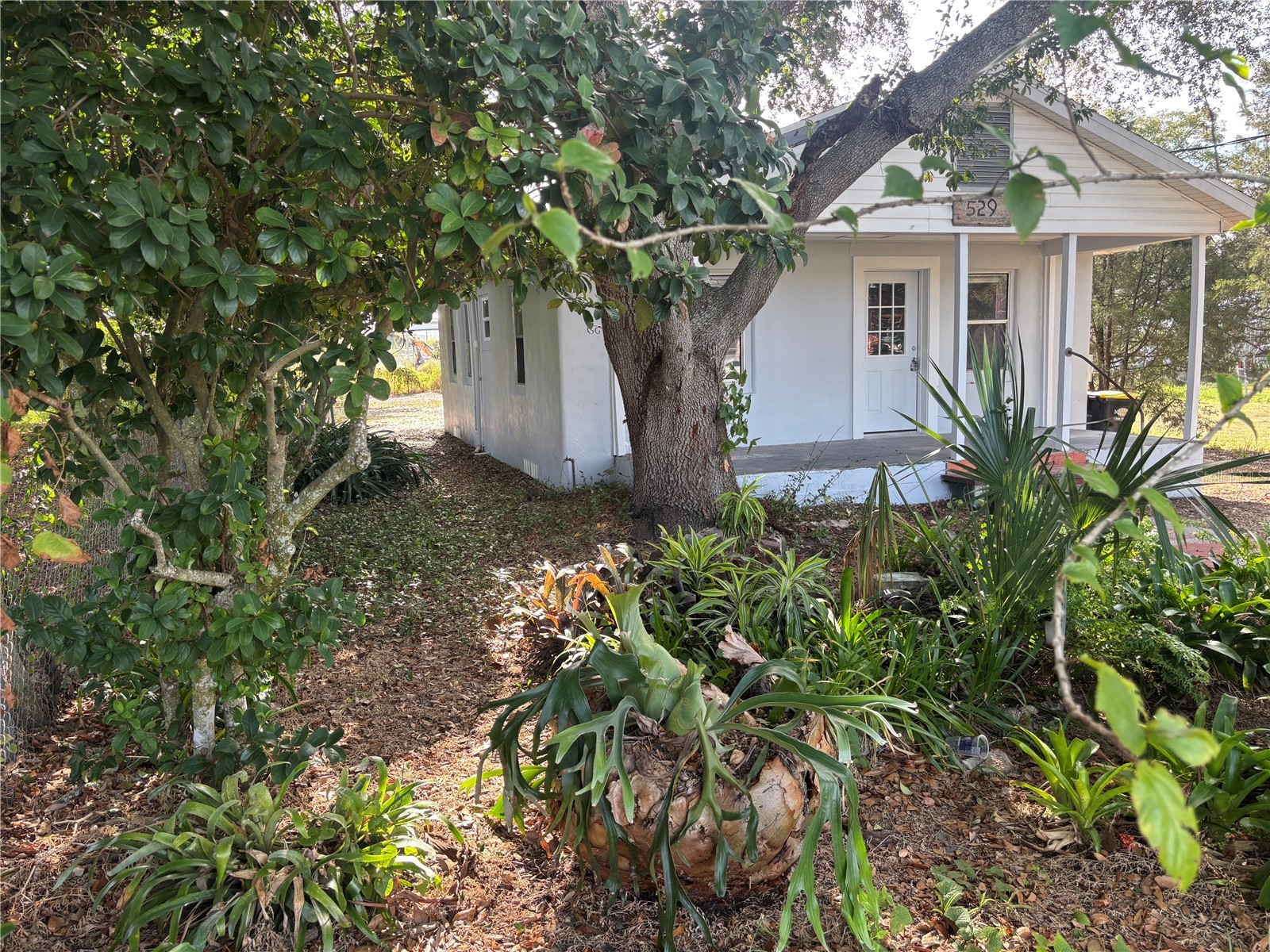 529 Mcdonald Avenue Auburndale FL 33823 P4935916 image25