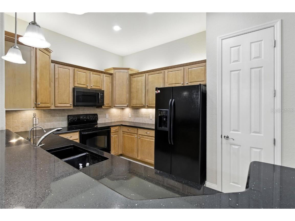 529 Meandering Way Polk City FL 33868 L4954464 image19