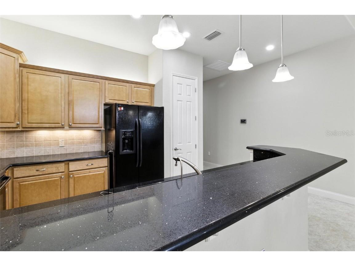 529 Meandering Way Polk City FL 33868 L4954464 image22