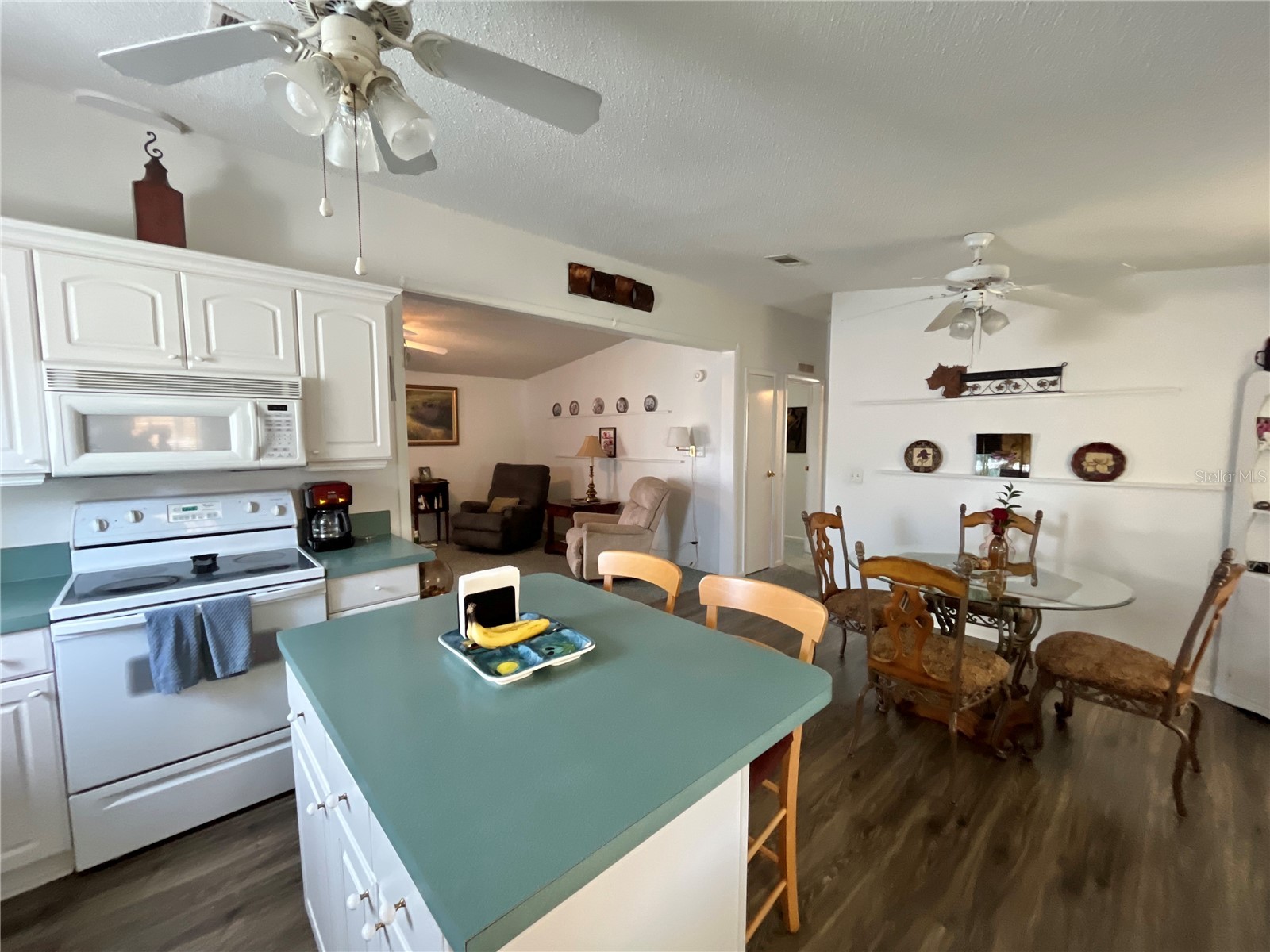 529 Rainbow Boulevard The Villages FL 32159 G5109877 image14