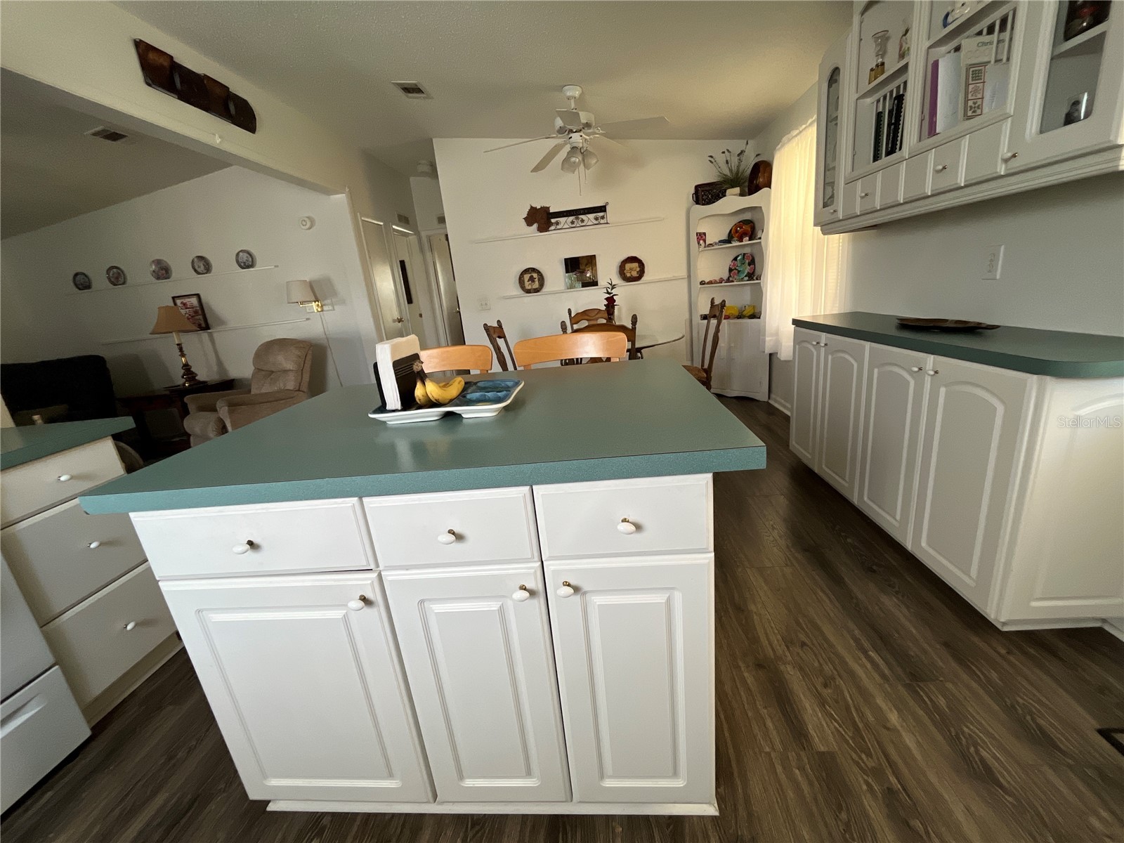 529 Rainbow Boulevard The Villages FL 32159 G5109877 image15