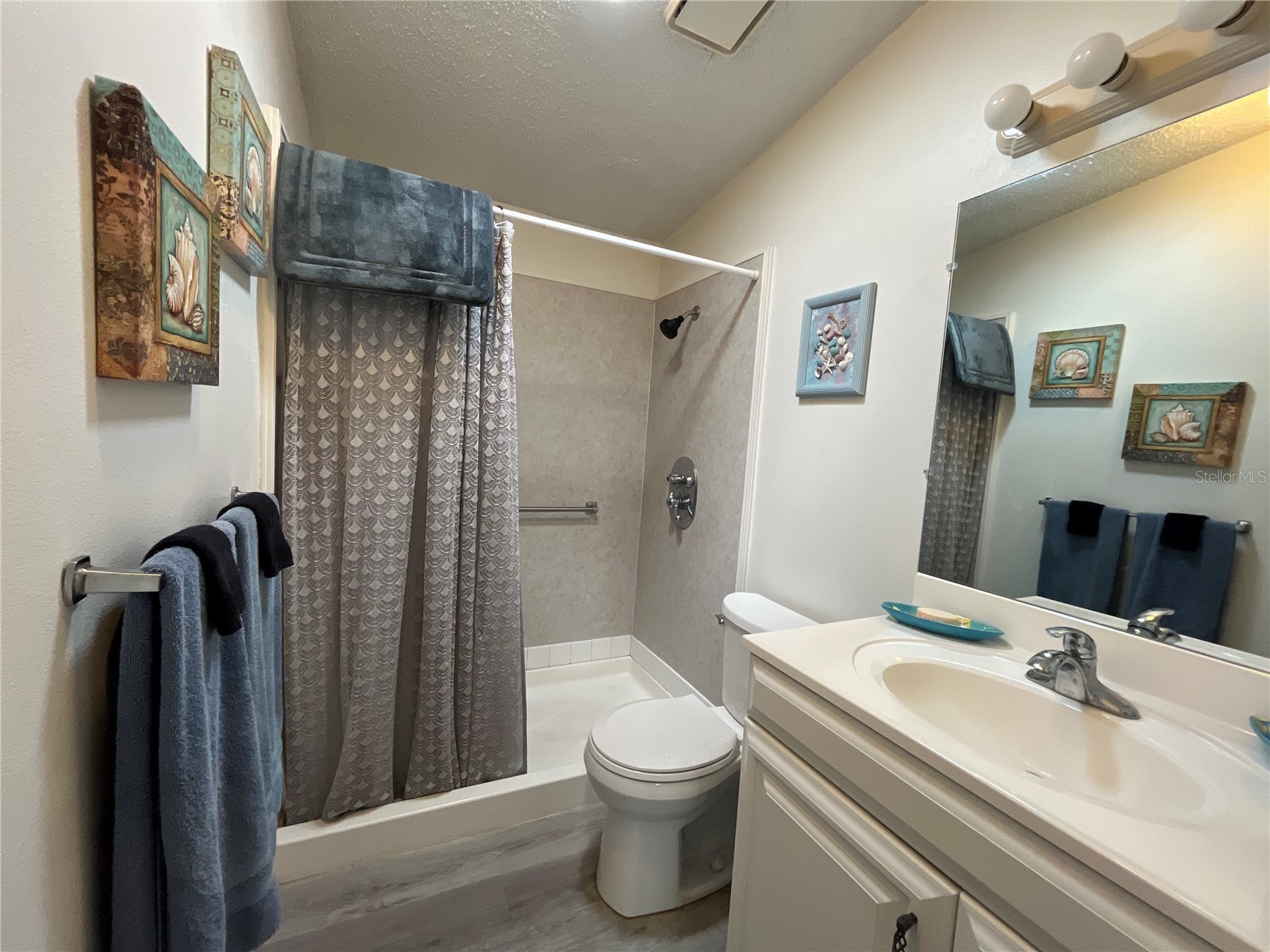 529 Rainbow Boulevard The Villages FL 32159 G5109877 image20