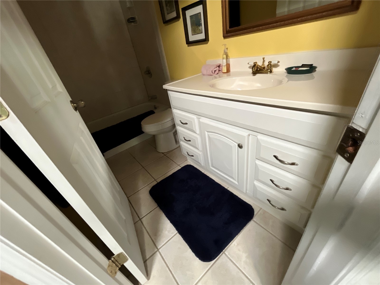 529 Rainbow Boulevard The Villages FL 32159 G5109877 image23