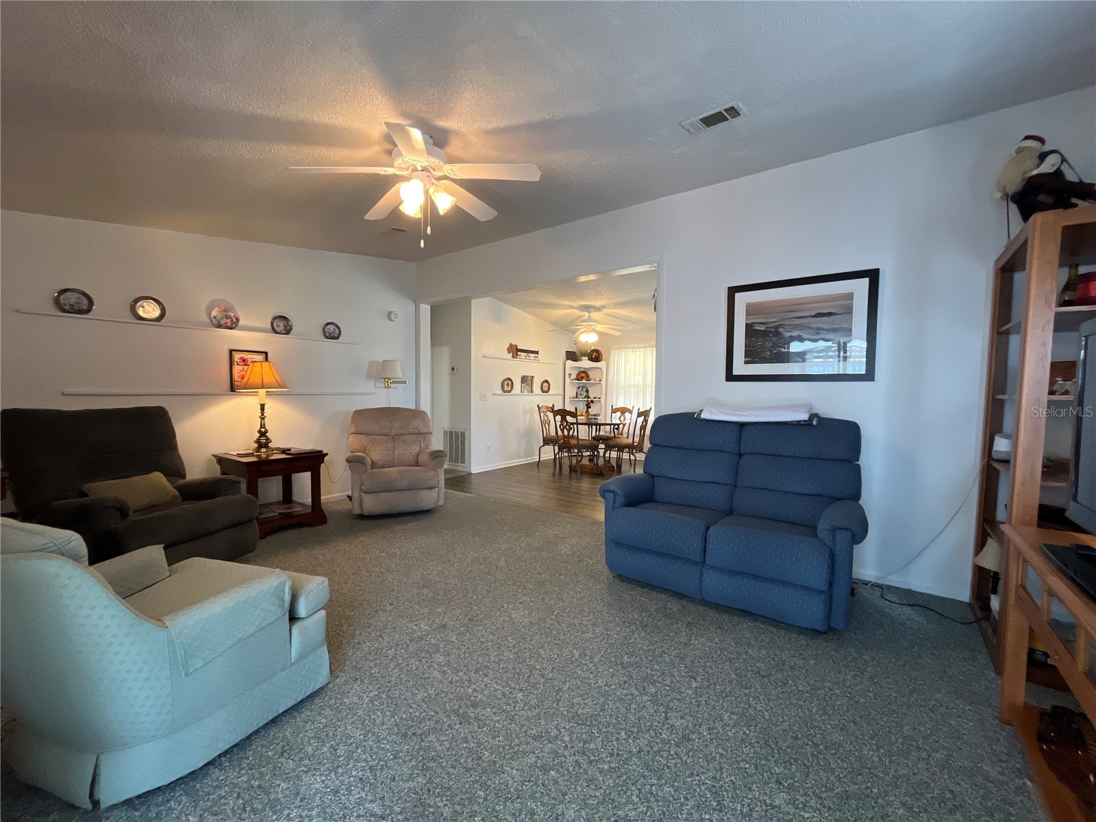 529 Rainbow Boulevard The Villages FL 32159 G5109877 image5