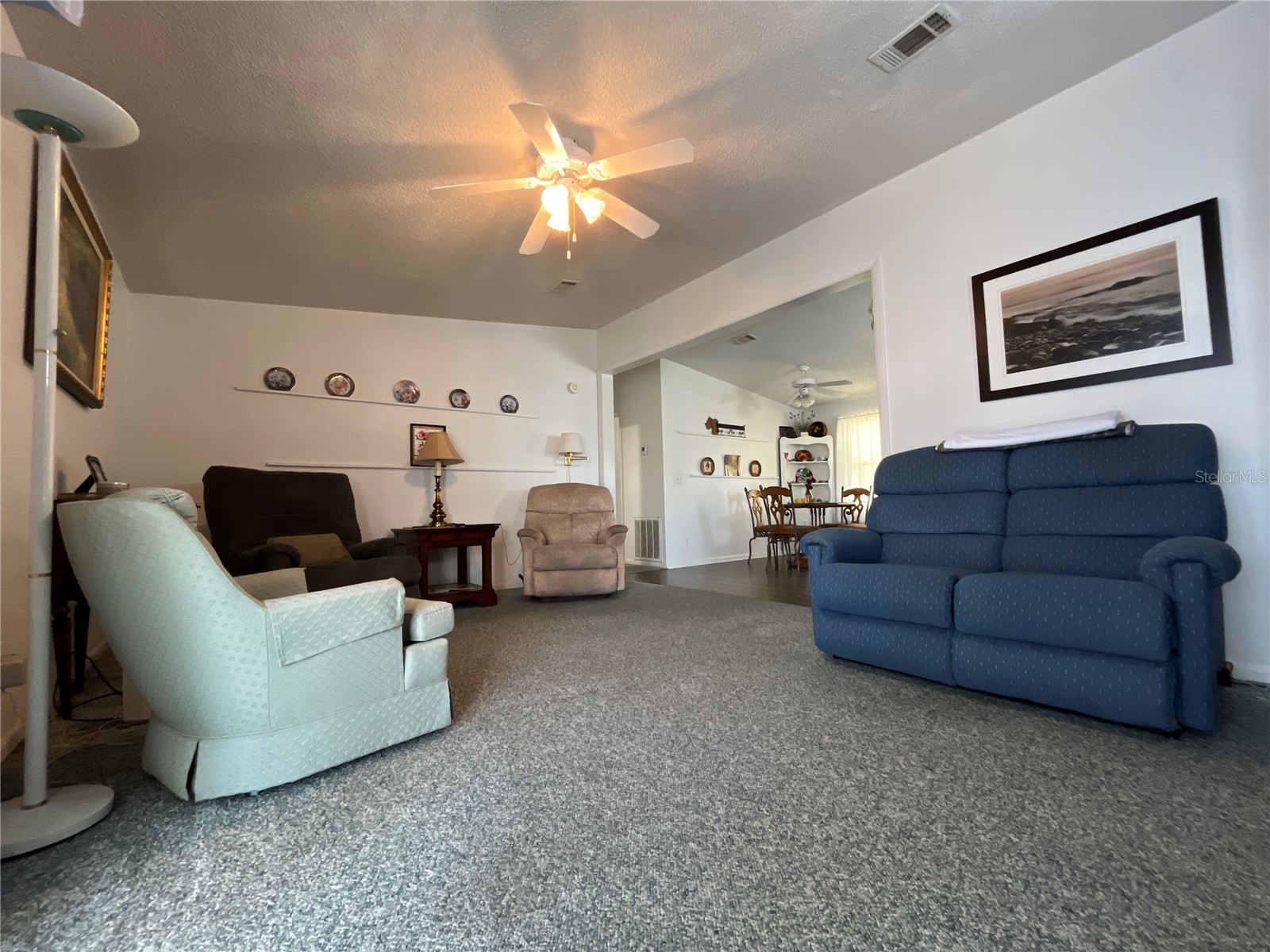 529 Rainbow Boulevard The Villages FL 32159 G5109877 image8