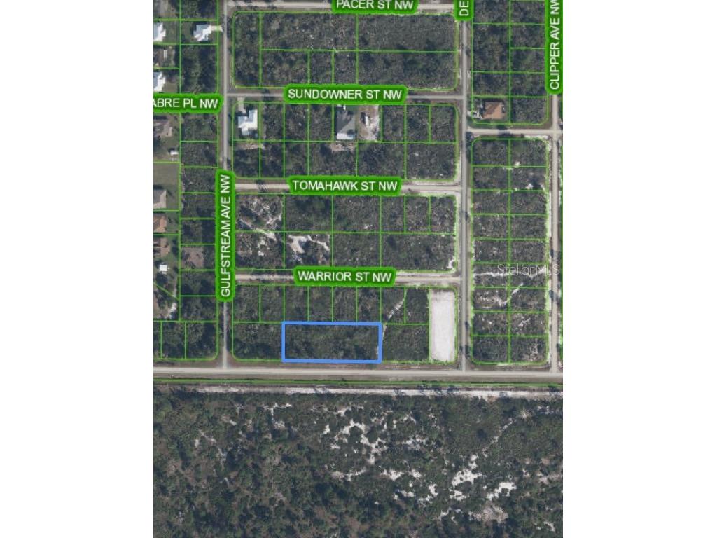 529 Tobler Boulevard Lake Placid FL 33852 O6258260 image1