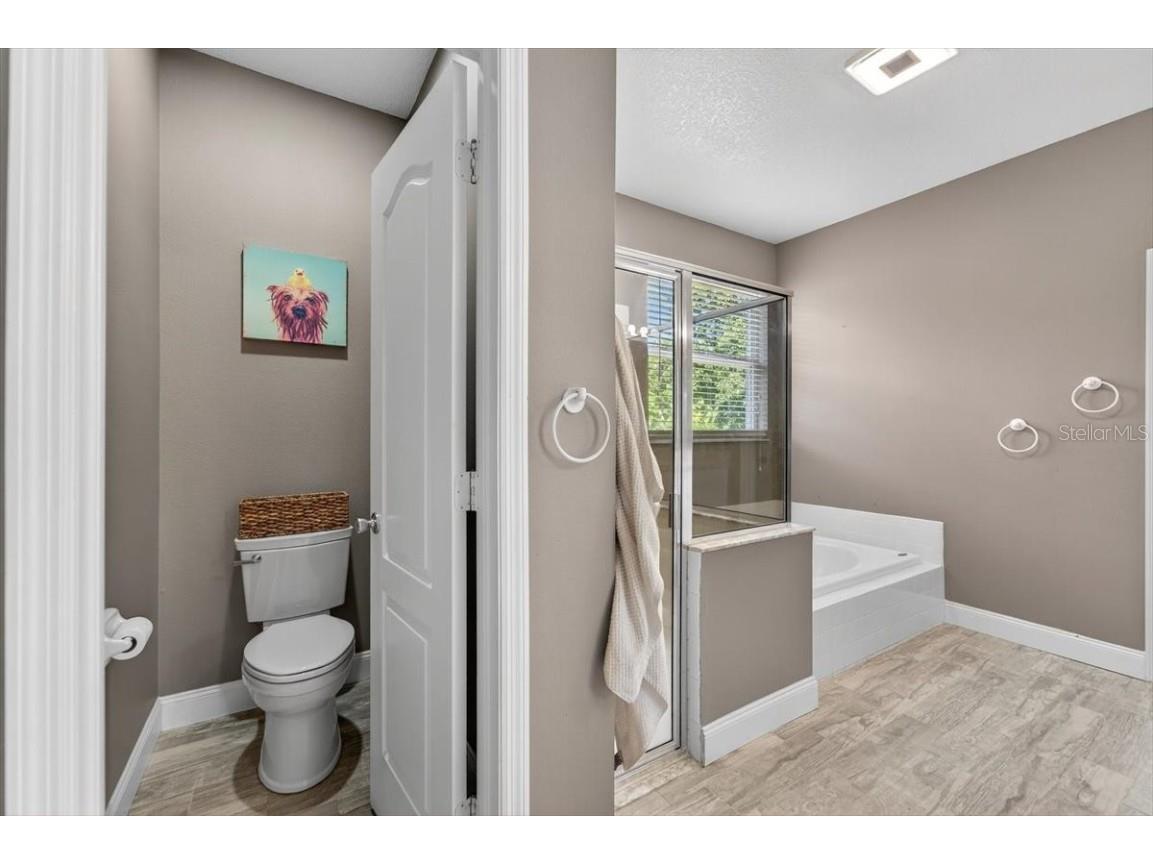 529 Tuscanny Street Brandon FL 33511 L4956177 image23