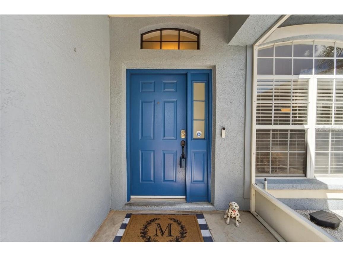 529 Tuscanny Street Brandon FL 33511 L4956177 image46