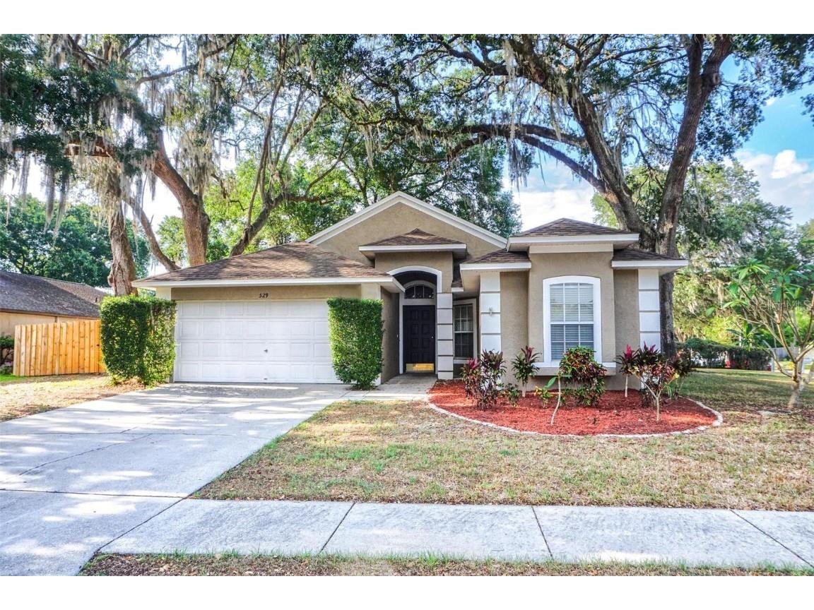 529 Valencia Park Drive Seffner FL 33584 T3447069 image1