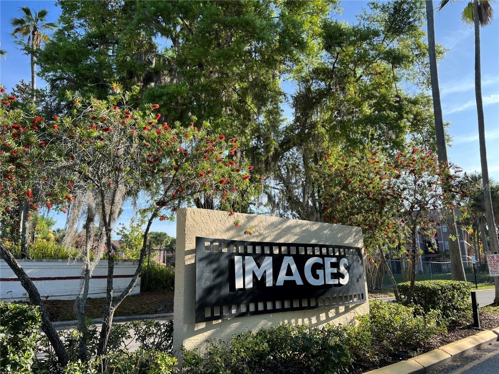 5291 Images Circle #307 Kissimmee FL 34746 O6187432 image1